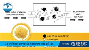Cơ chế hoạt động của hạt nhựa trao đổi ion