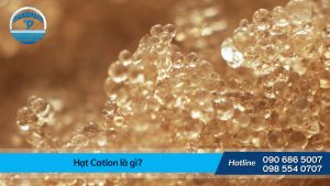 Hạt Cation là gì ?