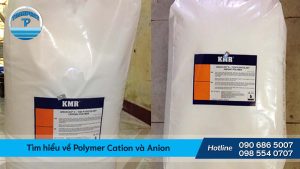 Tìm hiểu về Polymer Cation và Anion