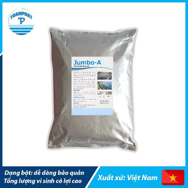 Vi sinh hiếu khí