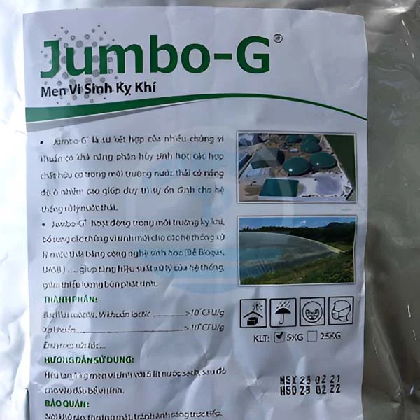 Vi sinh kỵ khí