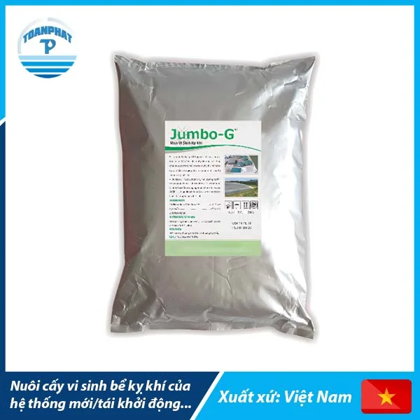 Vi sinh kỵ khí