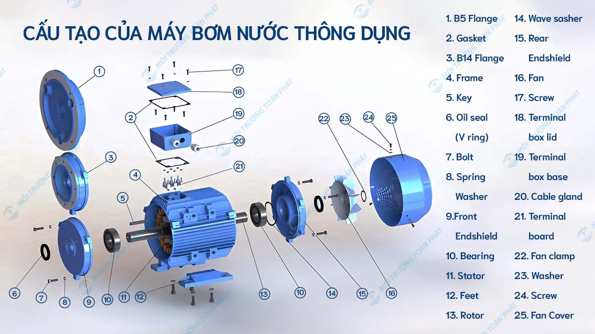 cau-tao-cua-may-bom-nuoc-thong-dung