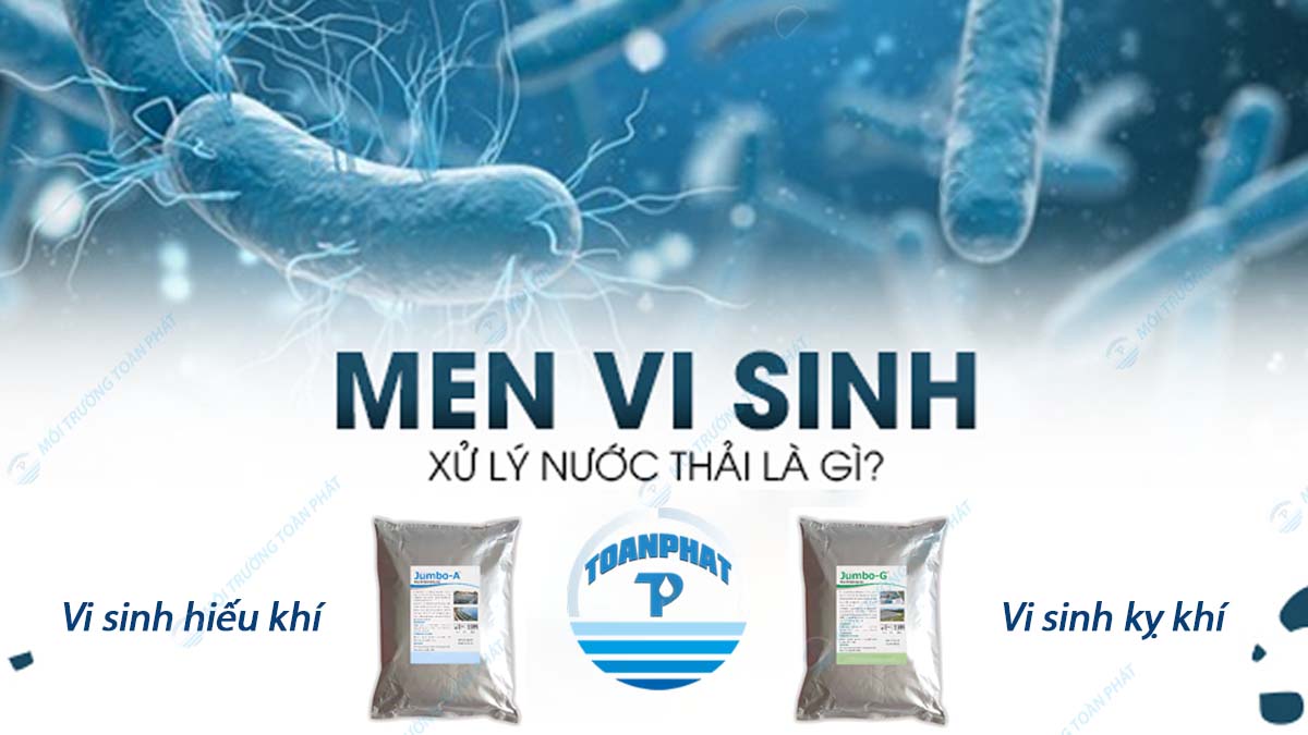 men-vi-sinh-xu-ly-nuoc-la-gi