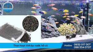 Than hoạt tính lọc nước hồ cá