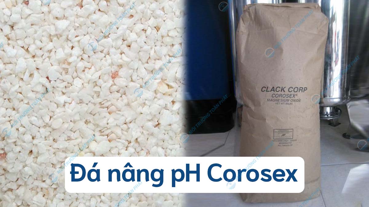 da-nang-ph-corosex_1