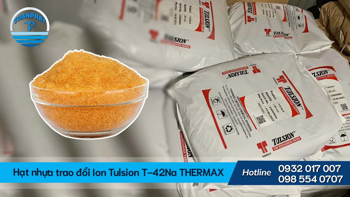 Hạt nhựa trao đổi Ion Tulsion T-42Na THERMAX