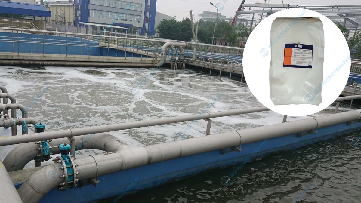 Ung-dung-Polymer-Cation-va-Anion-trong-xu-ly-nuoc-thai-cong-nghiep