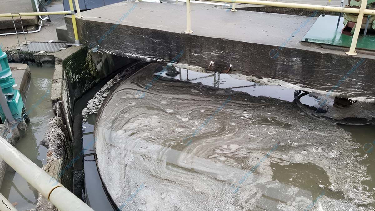 Cách xử lý nước thải nhiễm dầu mỡ phổ biến hiện nay Bể tách dầu mỡ tập trung