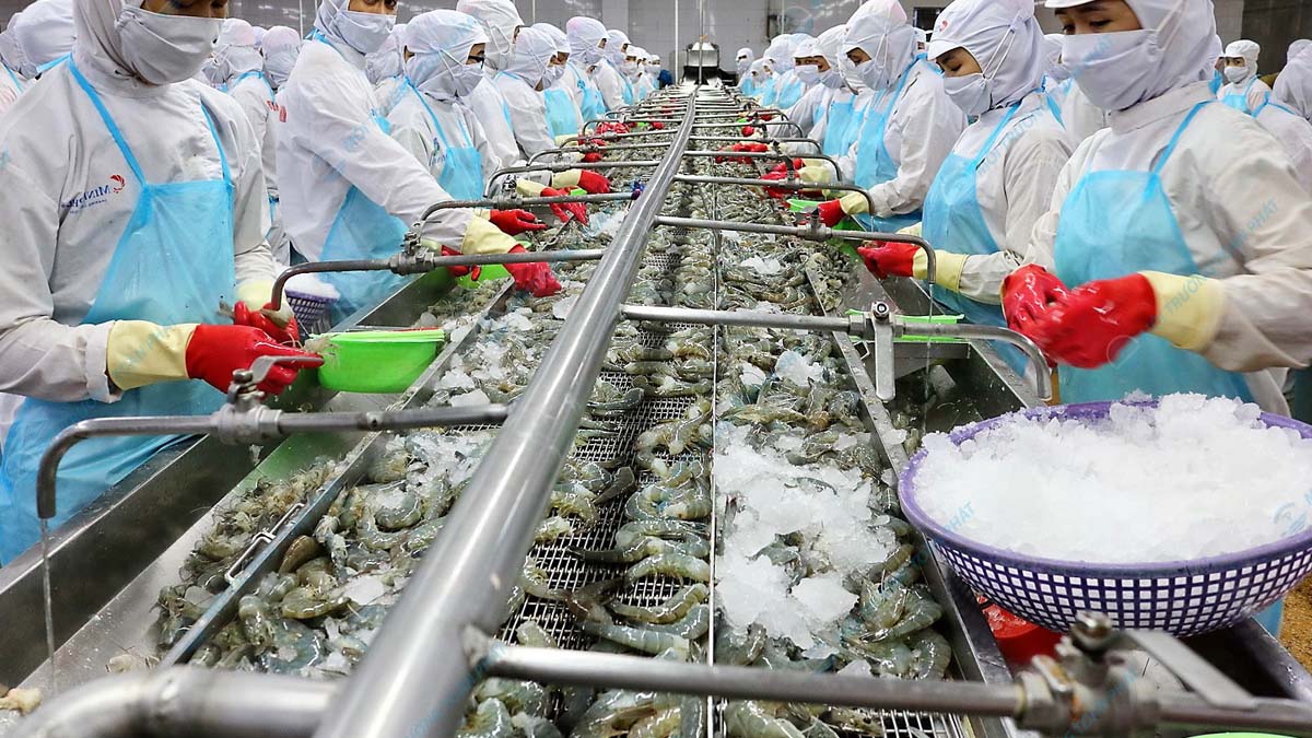 Tiêu chuẩn nước thải chế biến thủy sản Khâu sơ chế thủy sản