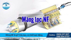 Màng NF là gì? Cấu tạo, cơ chế hoạt động và ứng dụng