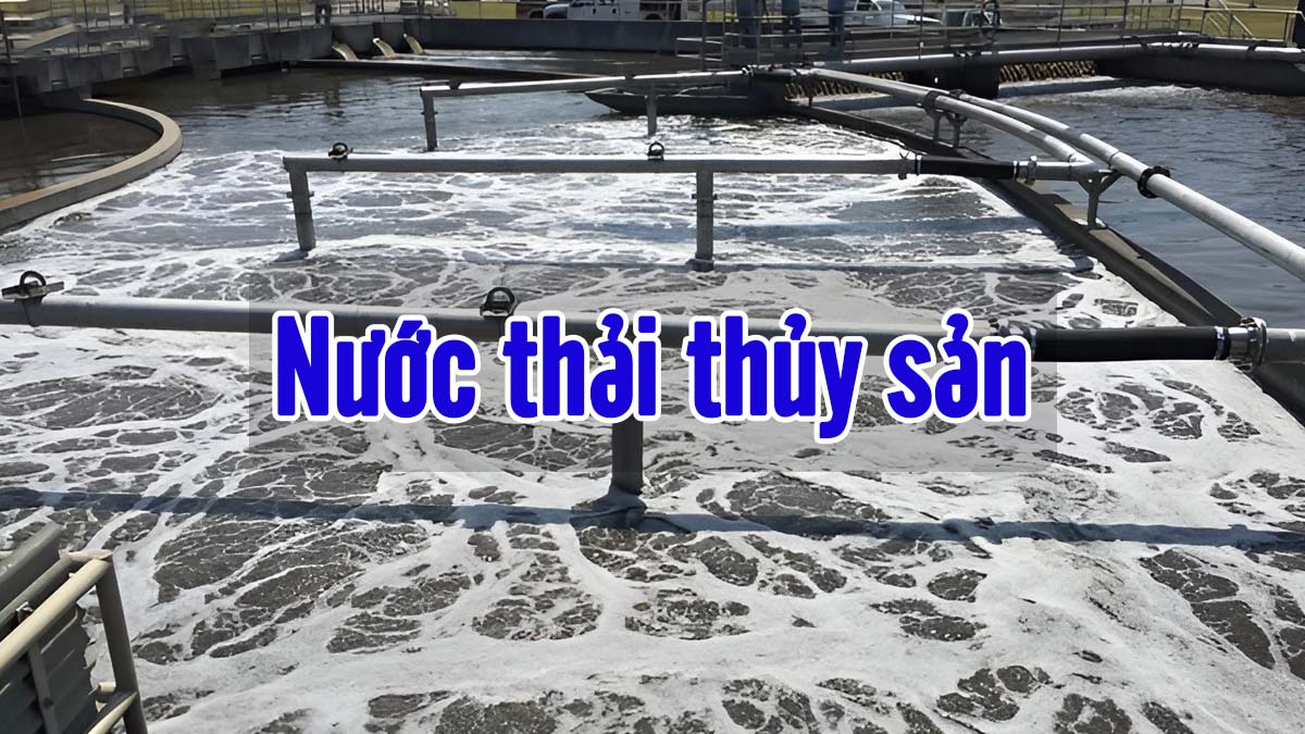 Tiêu chuẩn nước thải chế biến thủy sản Nuoc-thai-thuy-san