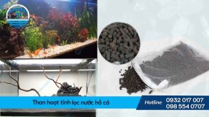 Than hoạt tính lọc nước hồ cá