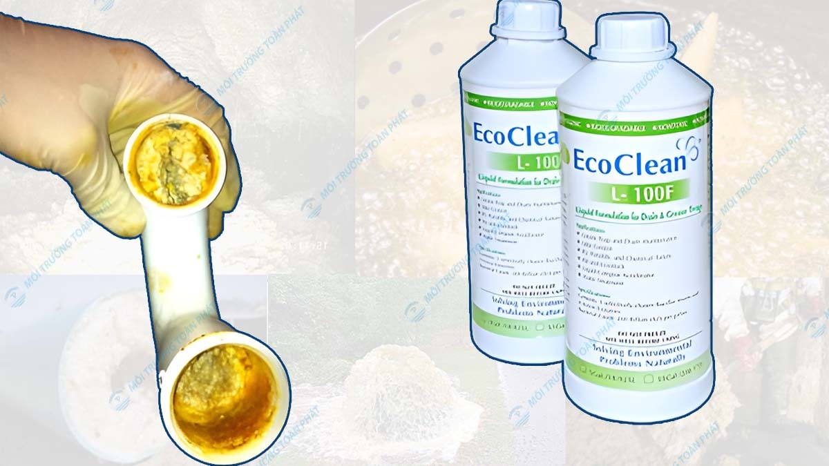 Cách xử lý nước thải nhiễm dầu mỡ phổ biến hiện nay Vi sinh ăn mỡ