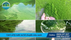 Cách xử lý nước ao hồ chuyển màu xanh hiệu quả
