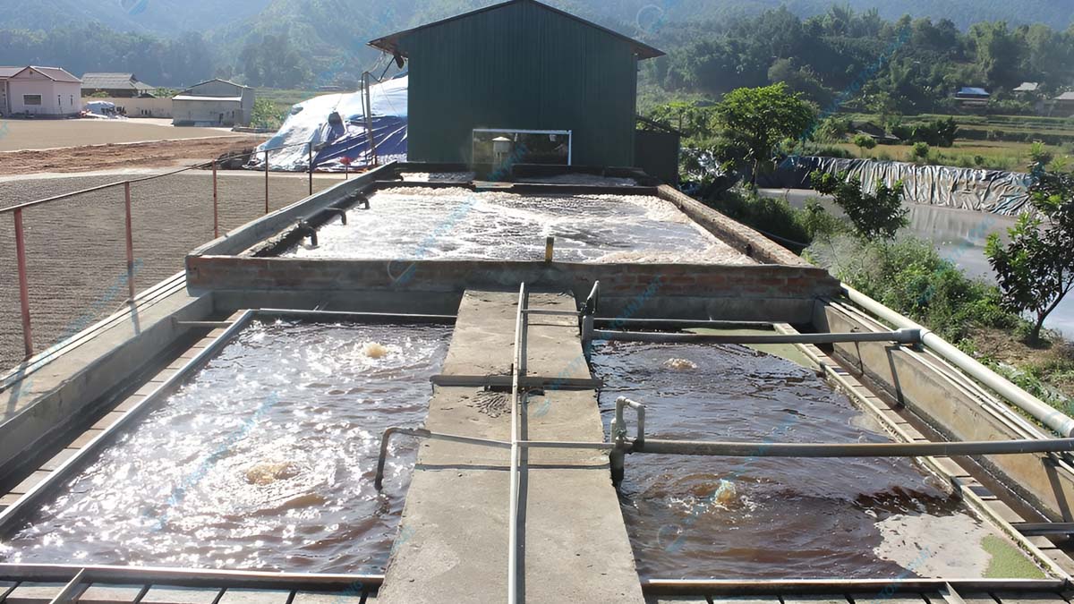 Xử lý nước thải chế biến cà phê: Phương pháp và lợi ích Cách xử lý nước thải chế biến cà phê