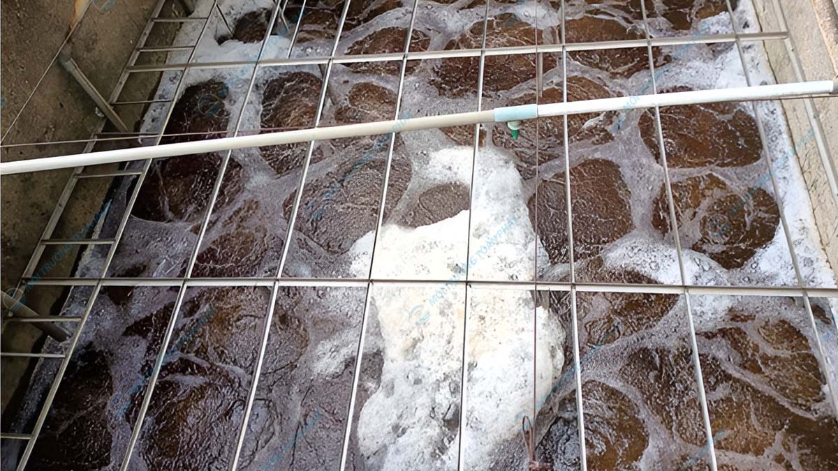 Hệ thống xử lý nước thải quá tải: Cách khắc phục Cung cấp nguồn thức ăn carbon cho vi sinh vật