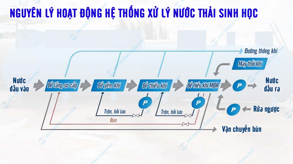 Cách xử lý nước thải công nghiệp và sinh hoạt hiệu quả Nguyên lý hoạt động Hệ thống xử lý nước thải sinh học