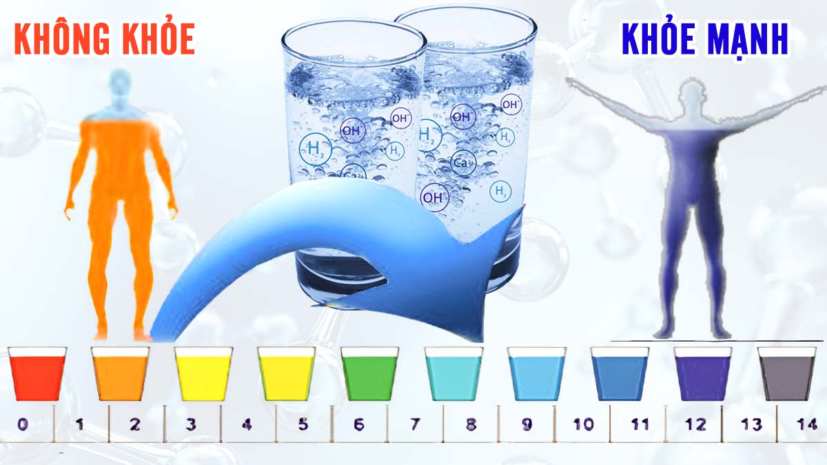 Nước điện giải trung hòa axit dư thừa trong cơ thể