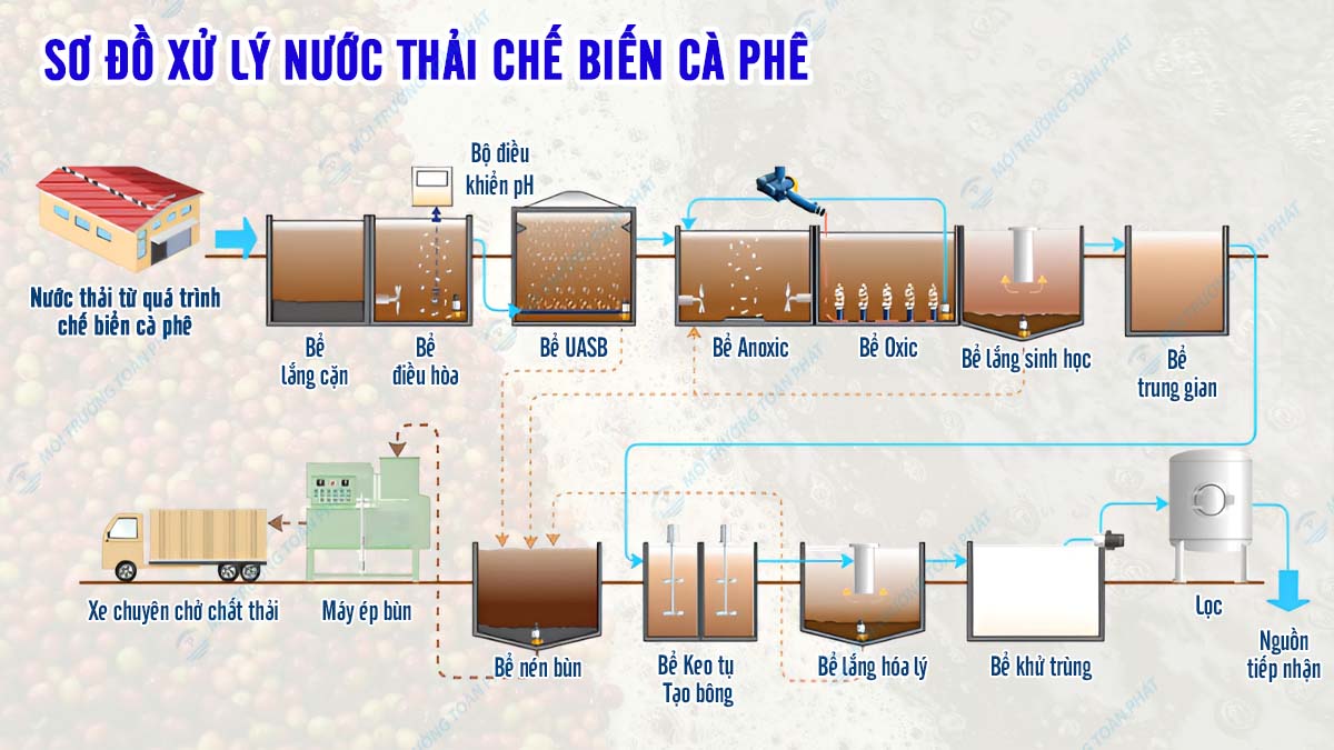Xử lý nước thải chế biến cà phê: Phương pháp và lợi ích Quy trình xử lý nước thải chế biến cà phê